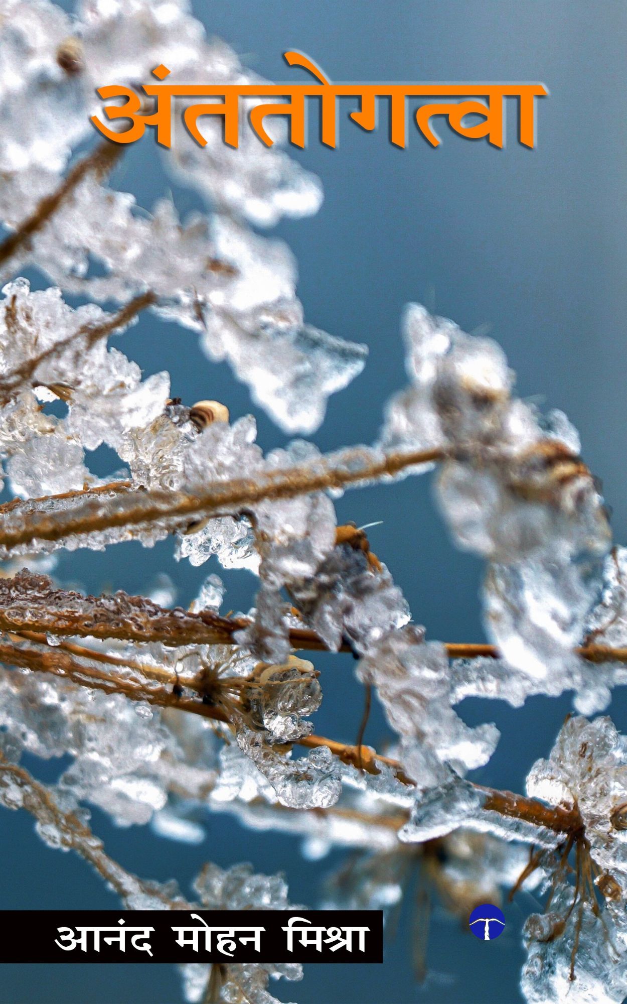 Techip Infotech Pvt Ltd