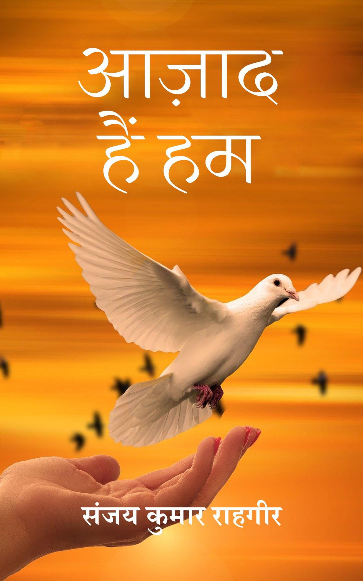 Techip Infotech Pvt Ltd