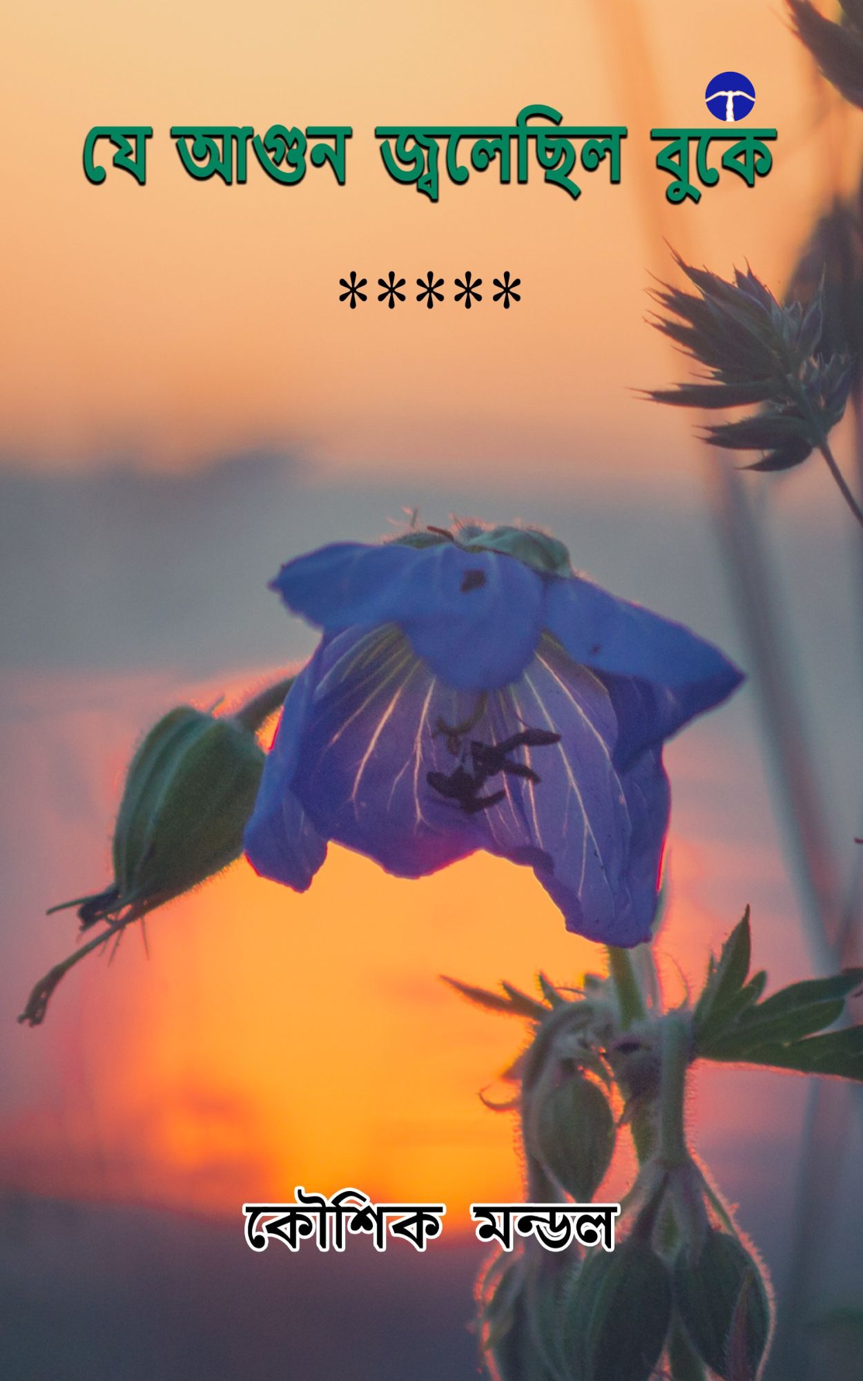 Techip Infotech Pvt Ltd