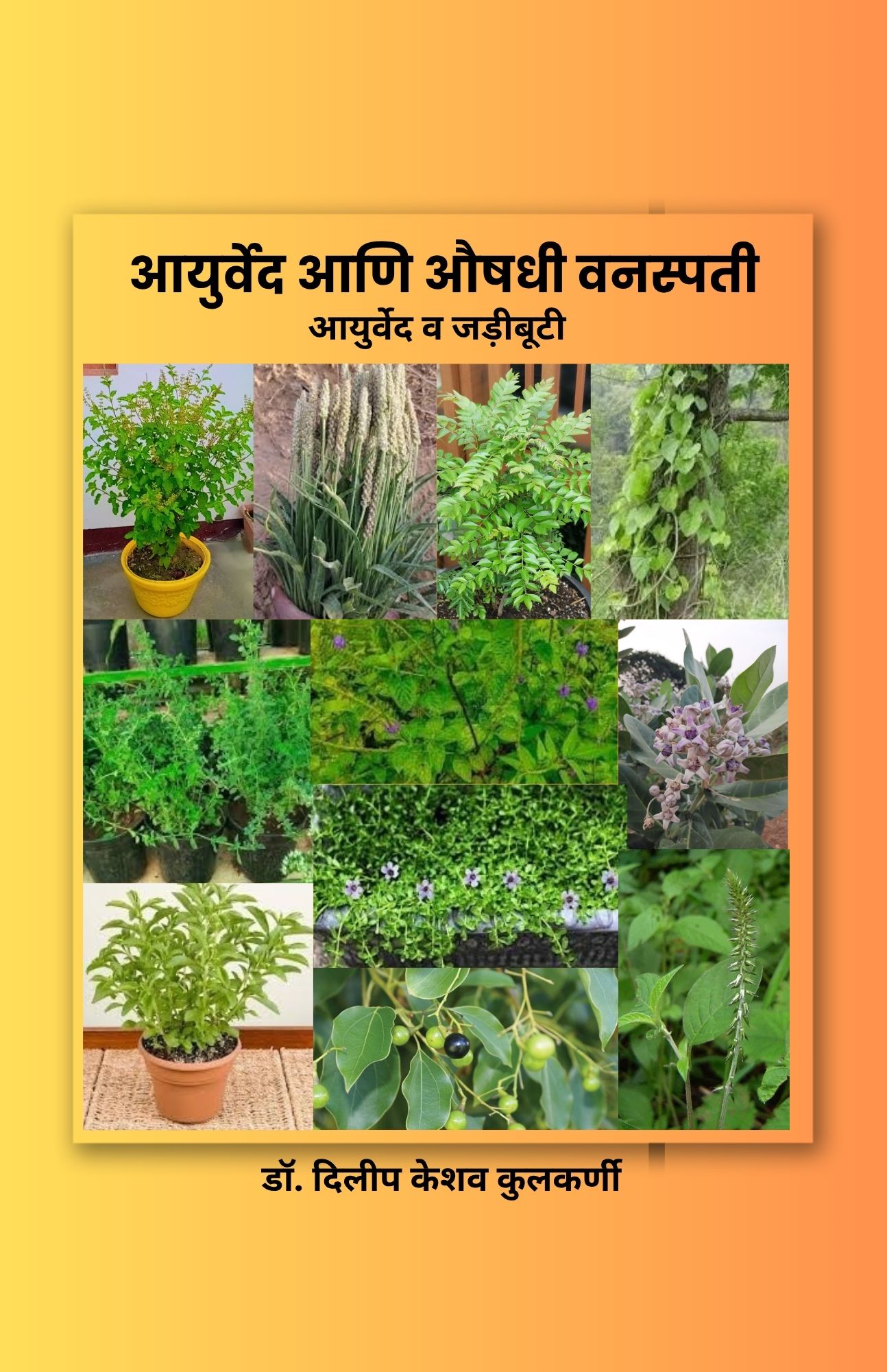 Techip Infotech Pvt Ltd