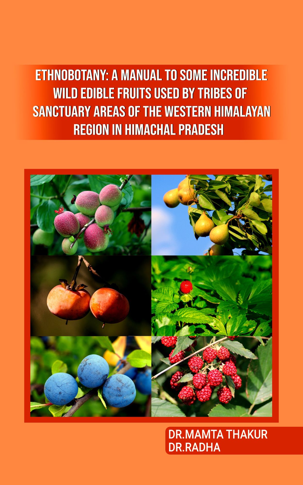 Techip Infotech Pvt Ltd